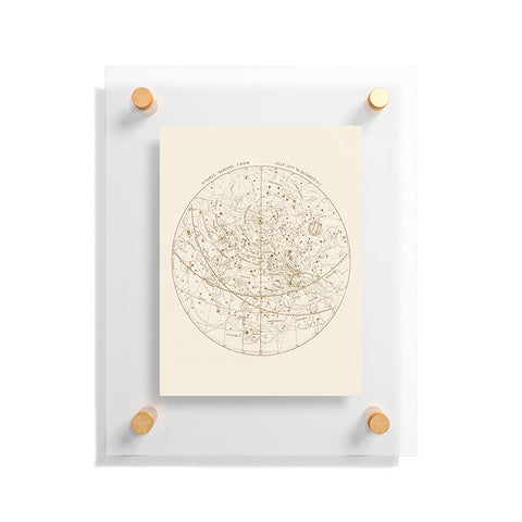 Florent Bodart Aster Visible Heavens Gold Floating Acrylic Print