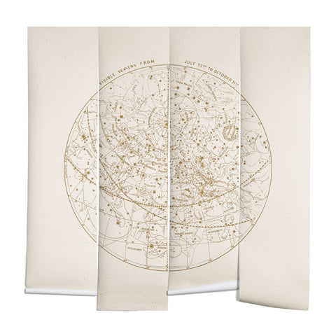 Florent Bodart Aster Visible Heavens Gold Wall Mural