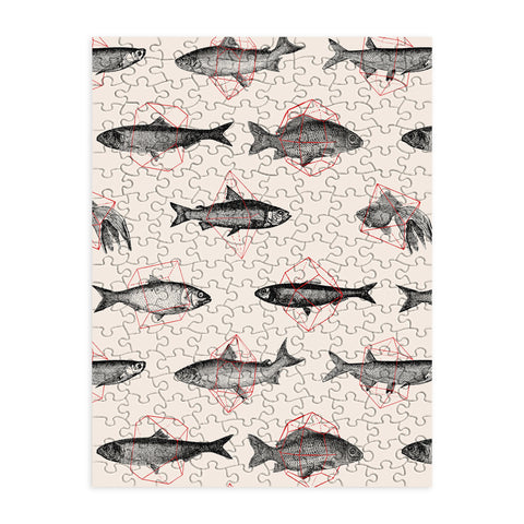 Florent Bodart Fishes In Geometrics Puzzle