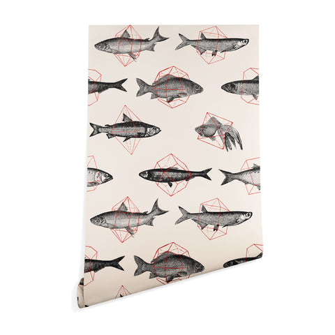 Florent Bodart Fishes In Geometrics Wallpaper