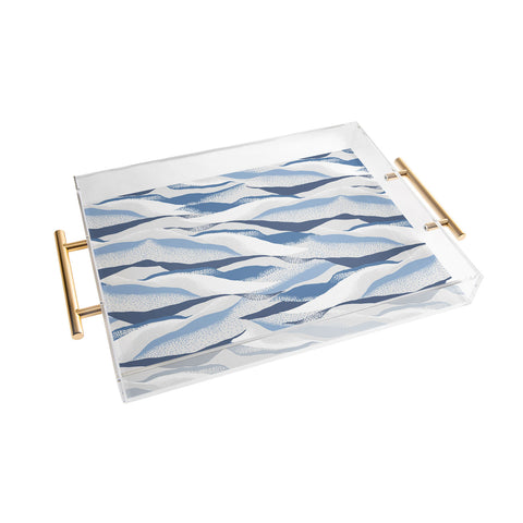 Gabriela Fuente ice Acrylic Tray