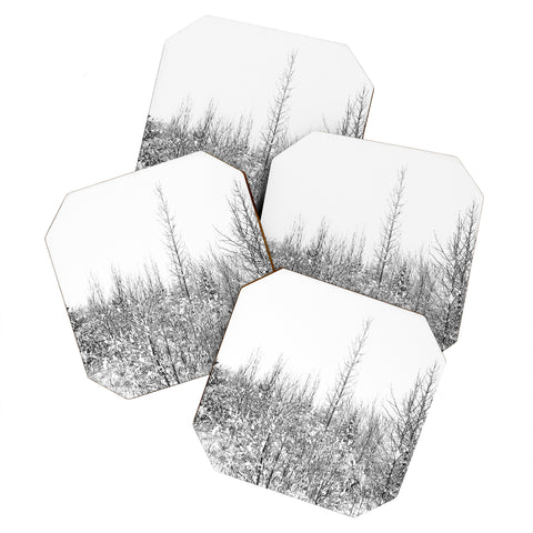 Gabriela Fuente snowland Coaster Set