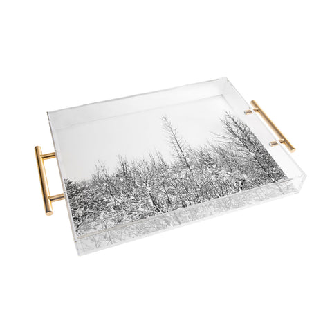 Gabriela Fuente snowland Acrylic Tray