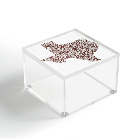 Gabriela Simon Texas Appaloosa Hide Acrylic Box