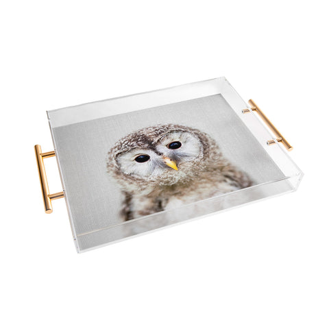 Gal Design Baby Owl Colorful Acrylic Tray