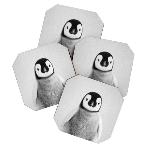 Gal Design Baby Penguin Black White Coaster Set