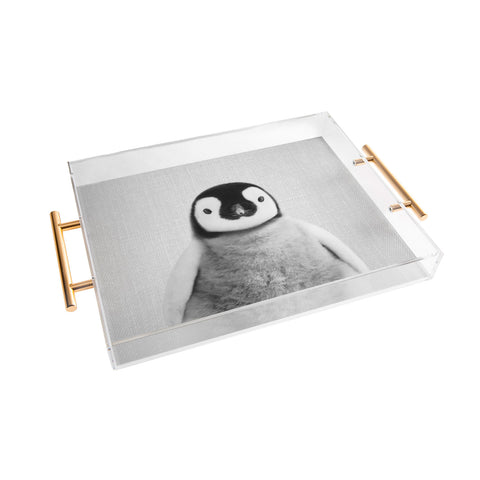 Gal Design Baby Penguin Black White Acrylic Tray