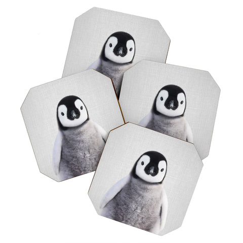 Gal Design Baby Penguin Colorful Coaster Set