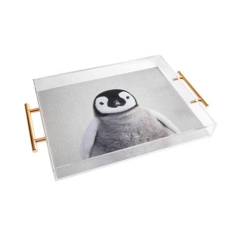 Gal Design Baby Penguin Colorful Acrylic Tray