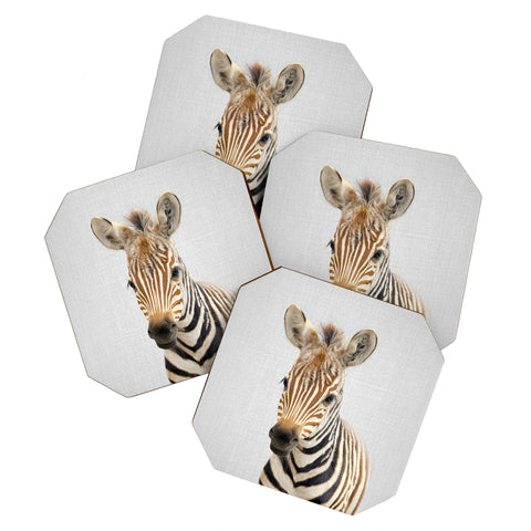 Gal Design Baby Zebra Colorful Coaster Set