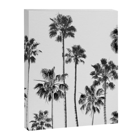 Gal Design Black And White Palms Art Canvas