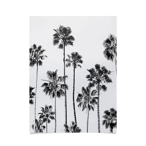 Gal Design Black And White Palms Poster