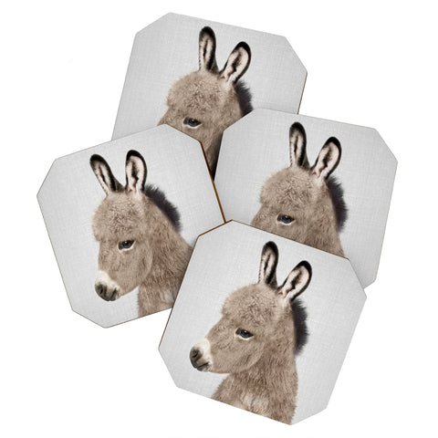 Gal Design Donkey Colorful Coaster Set