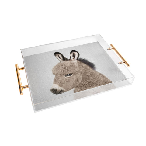 Gal Design Donkey Colorful Acrylic Tray