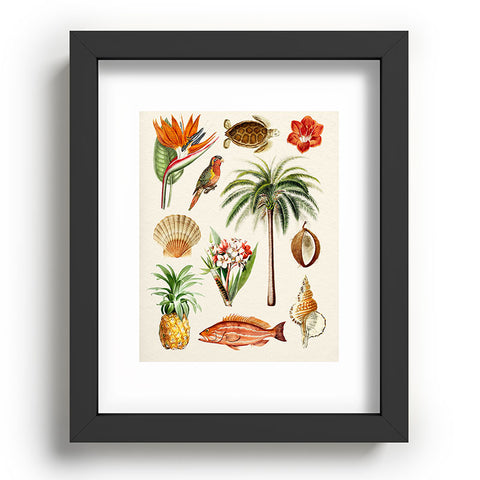 Gal Design Hawaii Collection Recessed Framing Rectangle