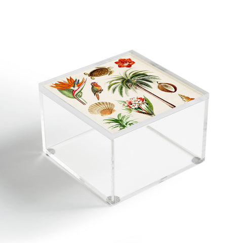 Gal Design Hawaii Collection Acrylic Box