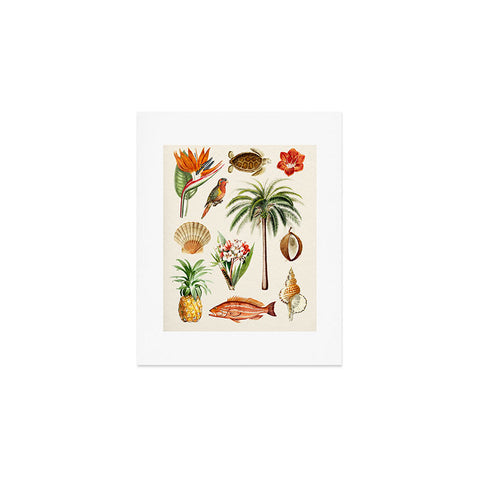 Gal Design Hawaii Collection Art Print