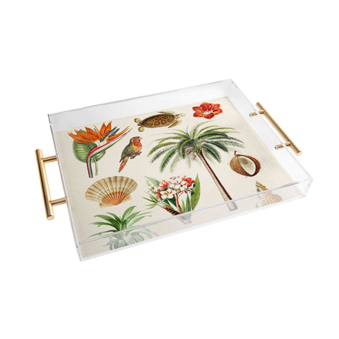 Gal Design Hawaii Collection Acrylic Tray