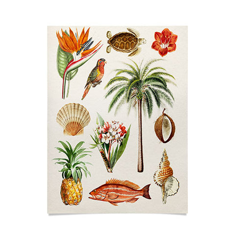 Gal Design Hawaii Collection Poster
