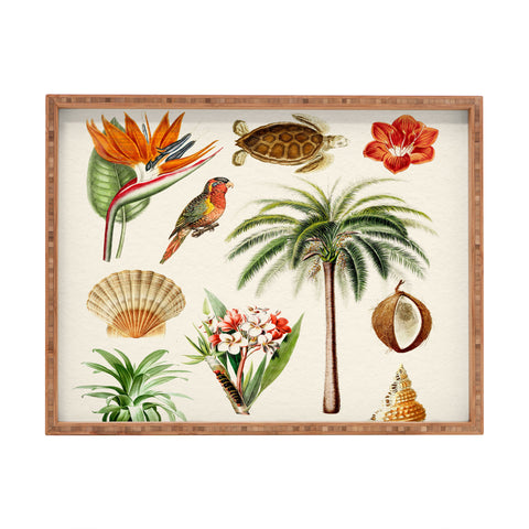 Gal Design Hawaii Collection Rectangular Tray