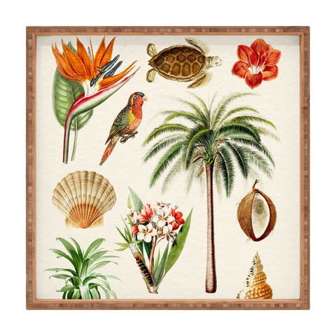Gal Design Hawaii Collection Square Tray