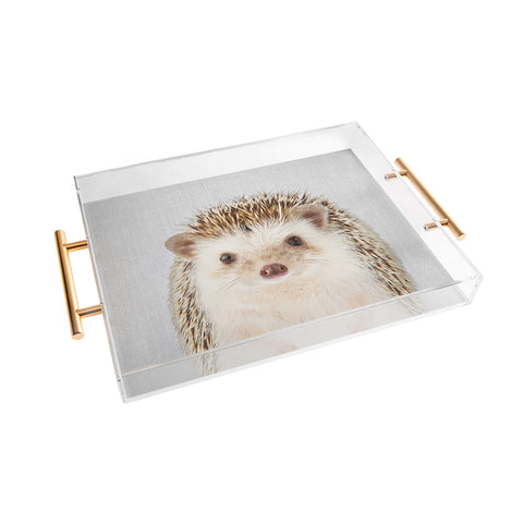Gal Design Hedgehog Colorful Acrylic Tray