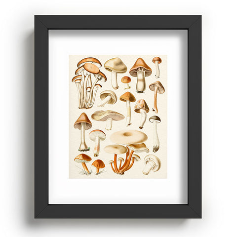 Gal Design Mushrooms Collection Recessed Framing Rectangle