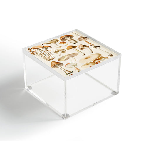 Gal Design Mushrooms Collection Acrylic Box