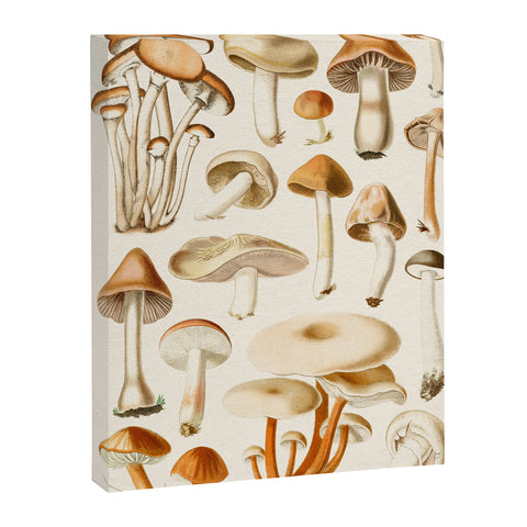 Gal Design Mushrooms Collection Art Canvas