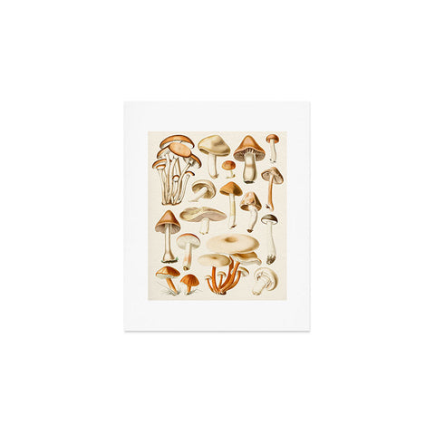 Gal Design Mushrooms Collection Art Print