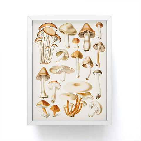 Gal Design Mushrooms Collection Framed Mini Art Print