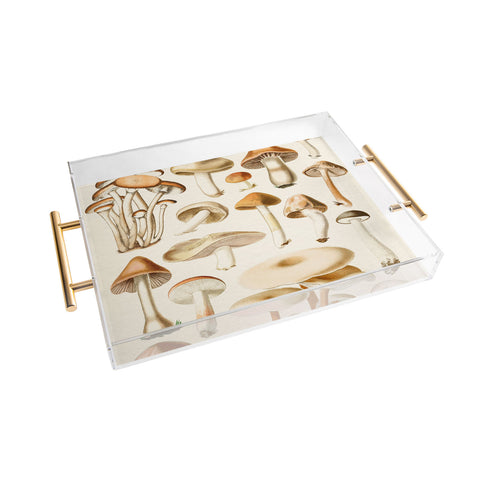 Gal Design Mushrooms Collection Acrylic Tray