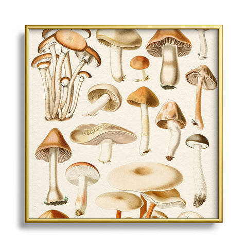 Gal Design Mushrooms Collection Square Metal Framed Art Print