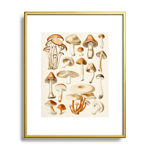 Gal Design Mushrooms Collection Metal Framed Art Print
