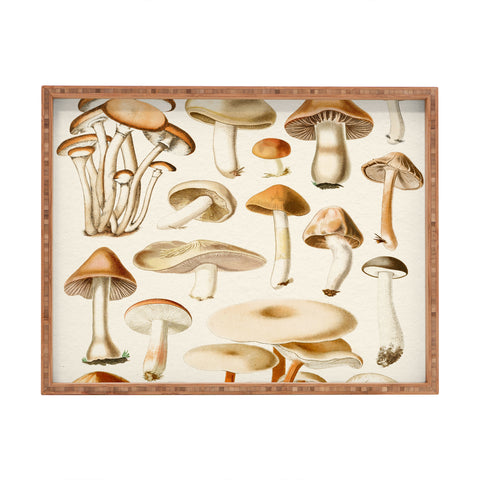 Gal Design Mushrooms Collection Rectangular Tray