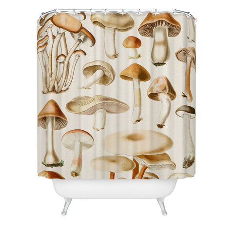 Gal Design Mushrooms Collection Shower Curtain