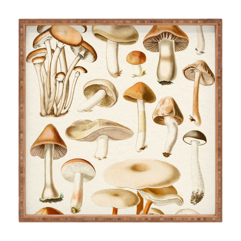 Gal Design Mushrooms Collection Square Tray