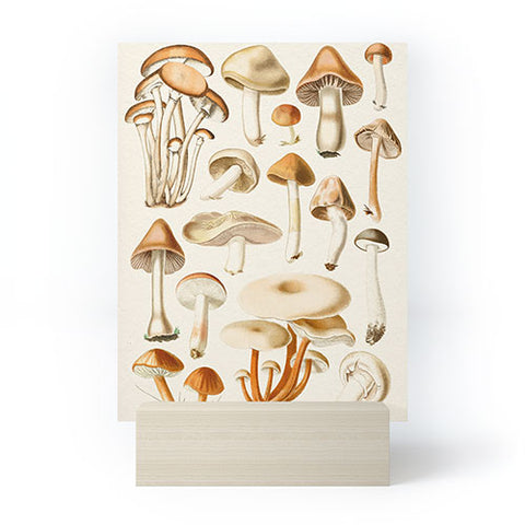 Gal Design Mushrooms Collection Mini Art Print