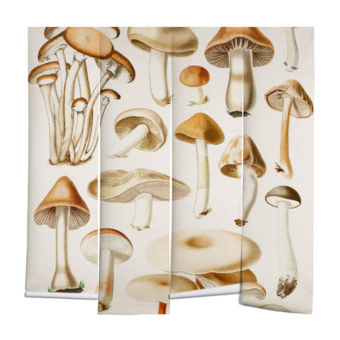 Gal Design Mushrooms Collection Wall Mural