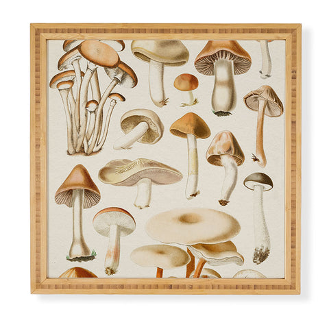 Gal Design Mushrooms Collection Framed Wall Art