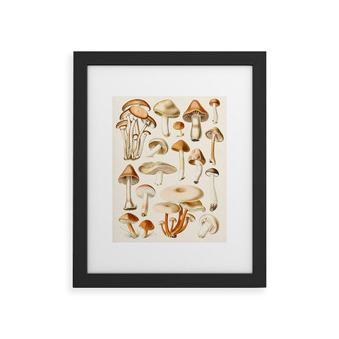 Gal Design Mushrooms Collection Framed Art Print