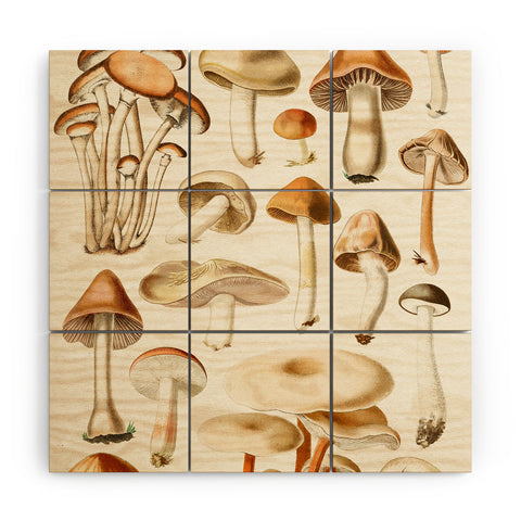 Gal Design Mushrooms Collection Wood Wall Mural