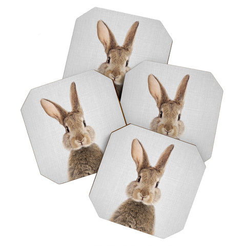 Gal Design Rabbit Colorful Coaster Set