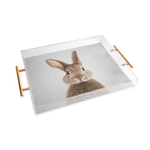 Gal Design Rabbit Colorful Acrylic Tray
