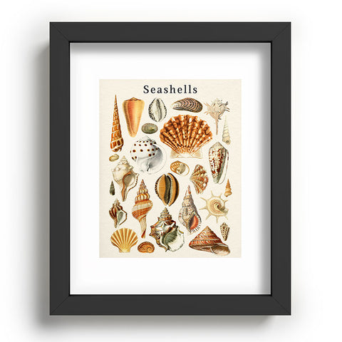 Gal Design Seashells Collection Recessed Framing Rectangle