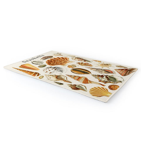 Gal Design Seashells Collection Area Rug