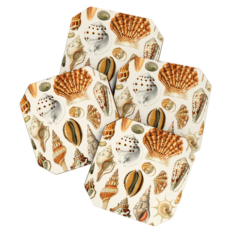 Gal Design Seashells Collection Coaster Set