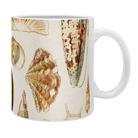 Gal Design Seashells Collection Coffee Mug