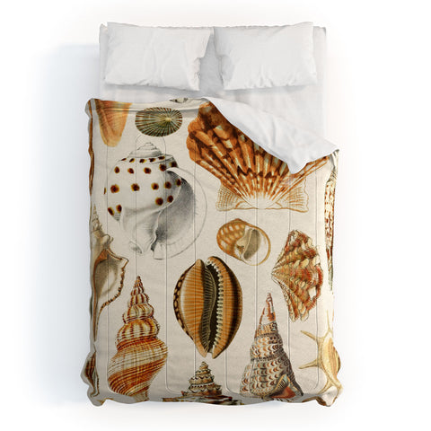 Gal Design Seashells Collection Comforter