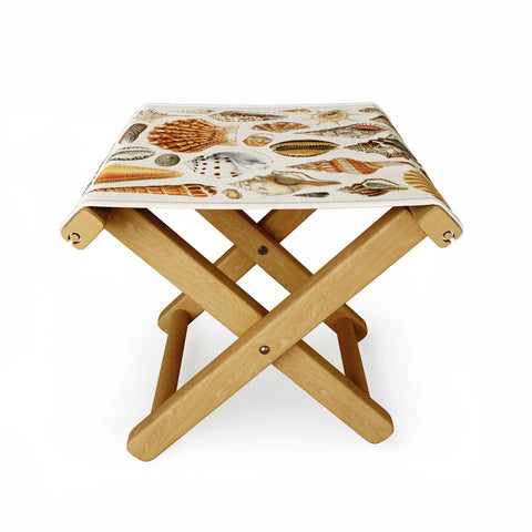 Gal Design Seashells Collection Folding Stool